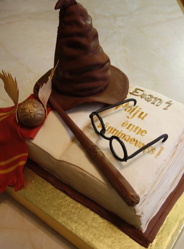 http://www.cindi.ee/usamovara/harrypotter/_MG_4702small.jpg
